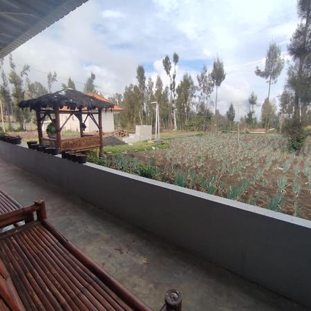 Elen Homestay By Abm Bromo Dış mekan fotoğraf