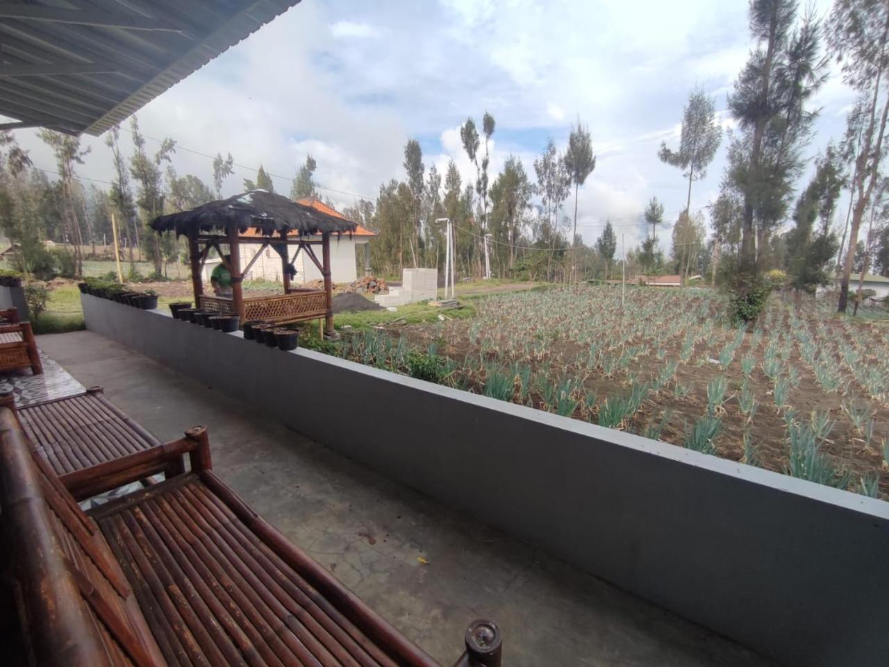 Elen Homestay By Abm Bromo Dış mekan fotoğraf