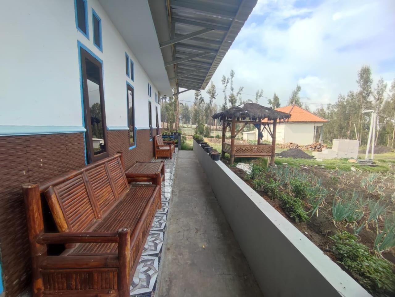 Elen Homestay By Abm Bromo Dış mekan fotoğraf
