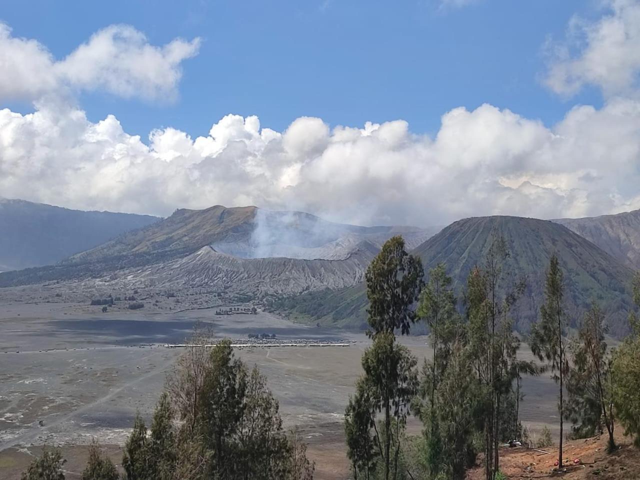 Elen Homestay By Abm Bromo Dış mekan fotoğraf