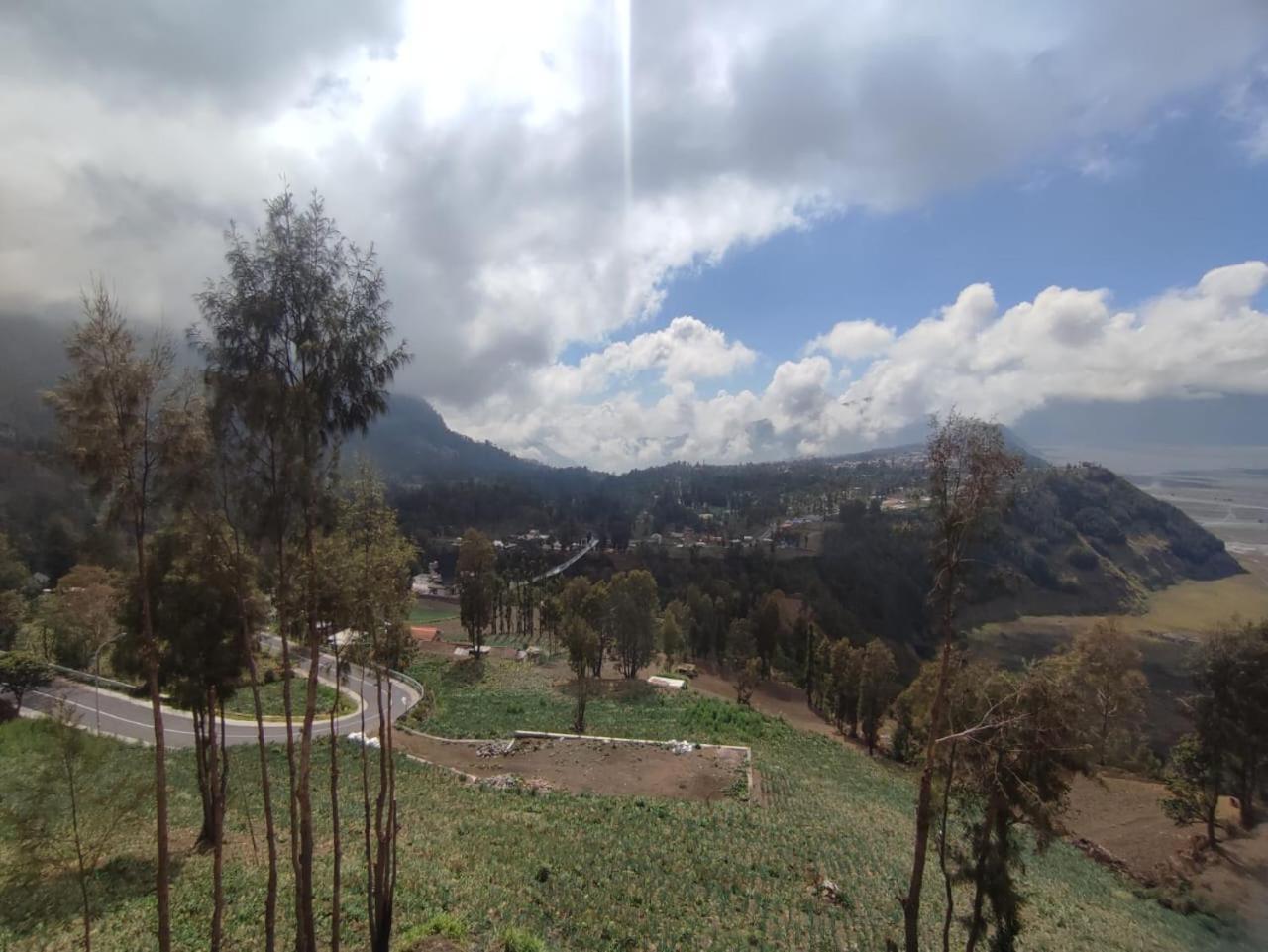 Elen Homestay By Abm Bromo Dış mekan fotoğraf